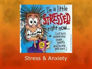 Stress &amp; Anxiety
