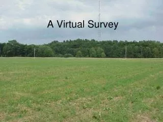 A Virtual Survey