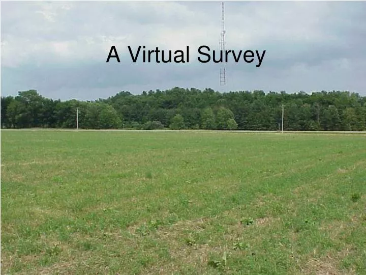 a virtual survey