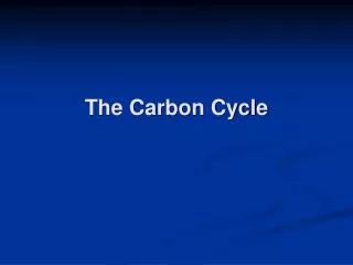 The Carbon Cycle