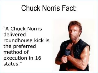 Chuck Norris Fact: