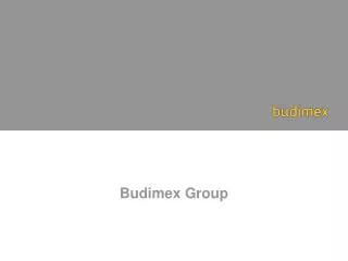 Budimex Group
