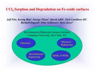 CCl 4 Sorption and Degradation on Fe-oxide surfaces