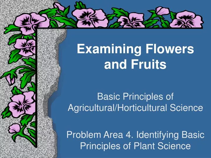 examining flowers and fruits
