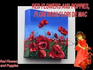 RED FLOWERS AND POPPIES, FLORI ROSII.FLORI DE MAC