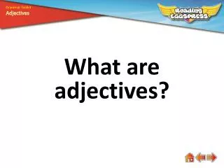 What are adjectives ?