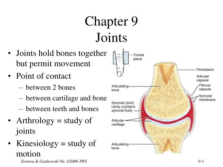 chapter 9 joints