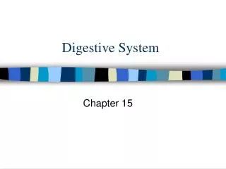 Digestive System