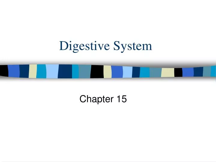 digestive system