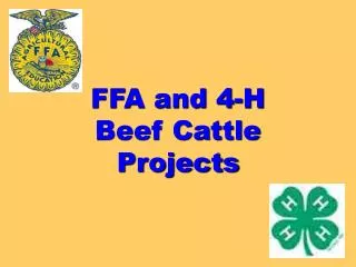 FFA and 4-H Beef Cattle Projects