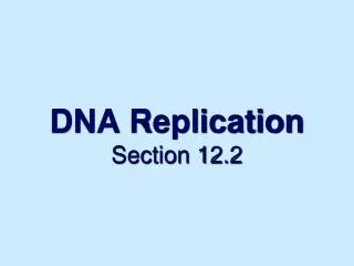 DNA Replication Section 12.2