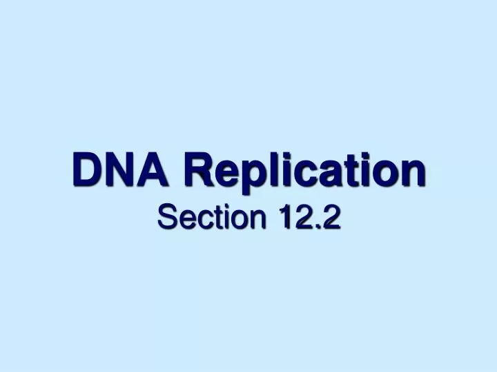 dna replication section 12 2