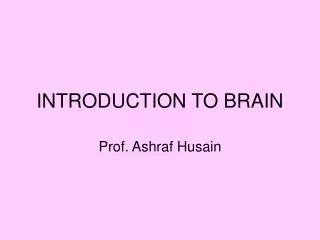 INTRODUCTION TO BRAIN