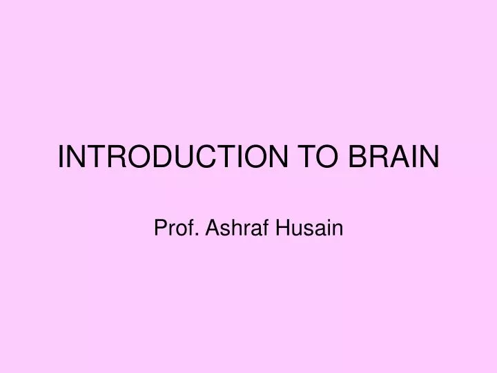 introduction to brain