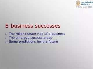 E-business successes
