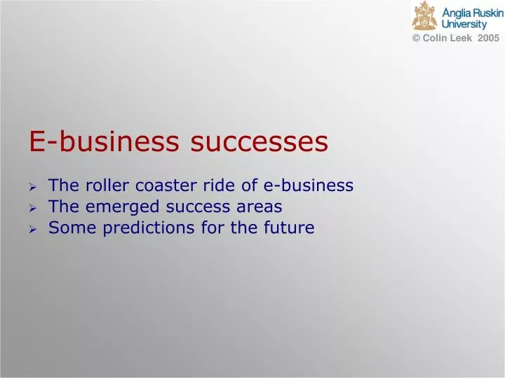 e business successes