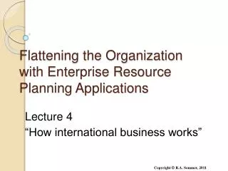 Flattening the Organization with Enterprise Resource Planning Applications
