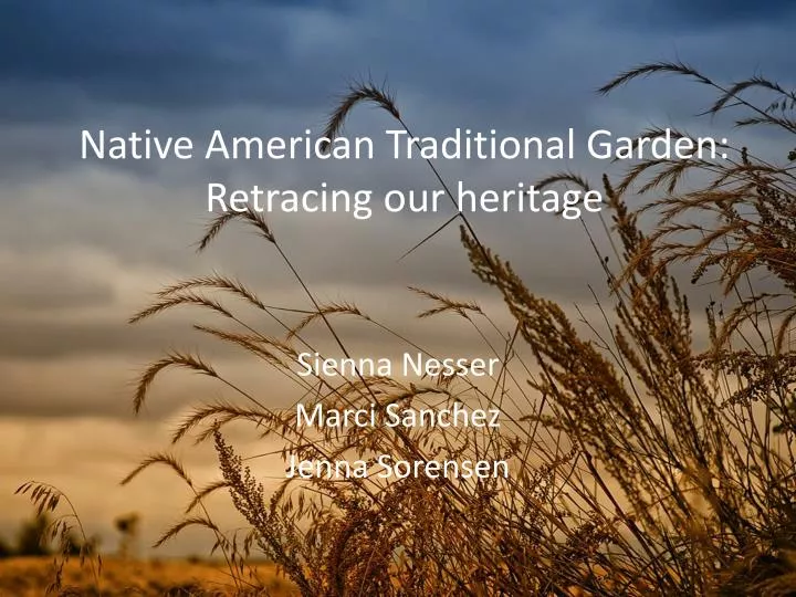 native american traditional garden retracing our heritage