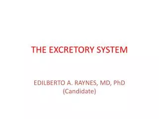 THE EXCRETORY SYSTEM