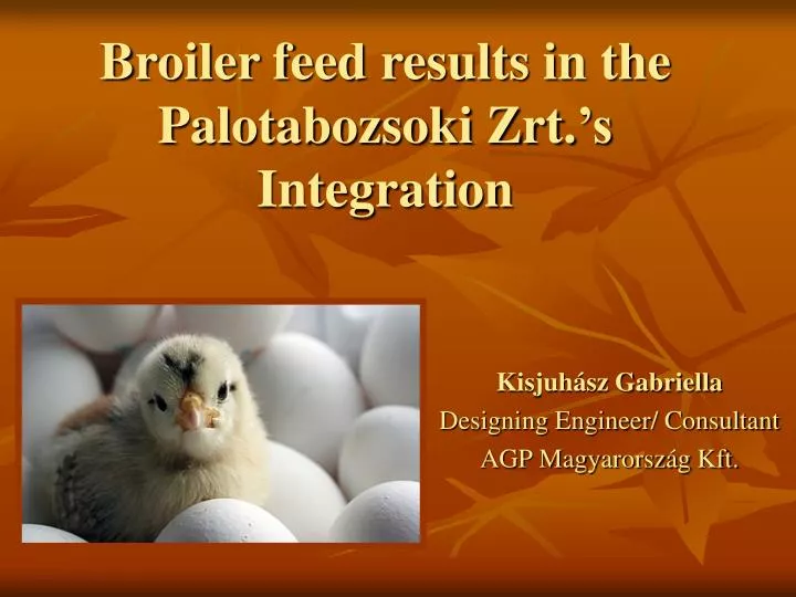 broiler feed results in the palotabozsoki zrt s integration
