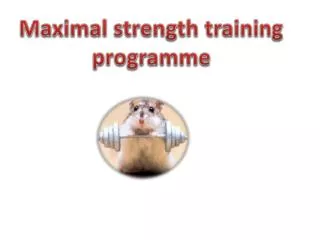 Maximal strength training programme