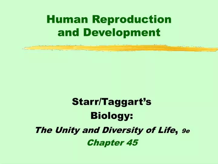 human reproduction and development