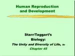 Human Reproduction and Development - slide 1