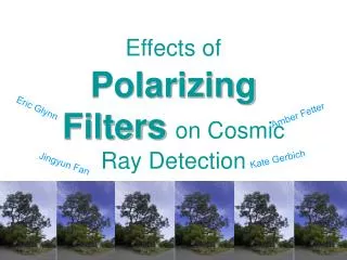 Effects of Polarizing Filters on Cosmic Ray Detection