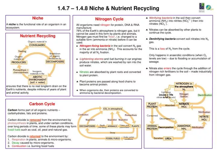 1 4 7 1 4 8 niche nutrient recycling