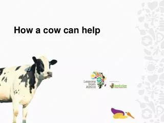How a cow can help