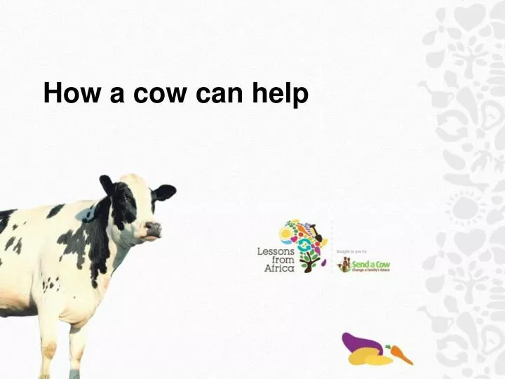 how a cow can help