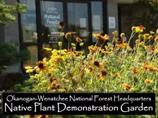 Okanogan-Wenatchee National Forest Headquarters Native Plant Demonstration Garden