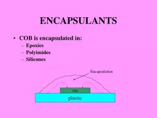 ENCAPSULANTS