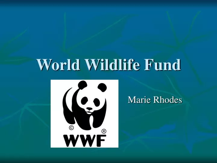 world wildlife fund