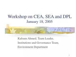 Workshop on CEA, SEA and DPL January 18, 2005