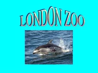 LONDON ZOO