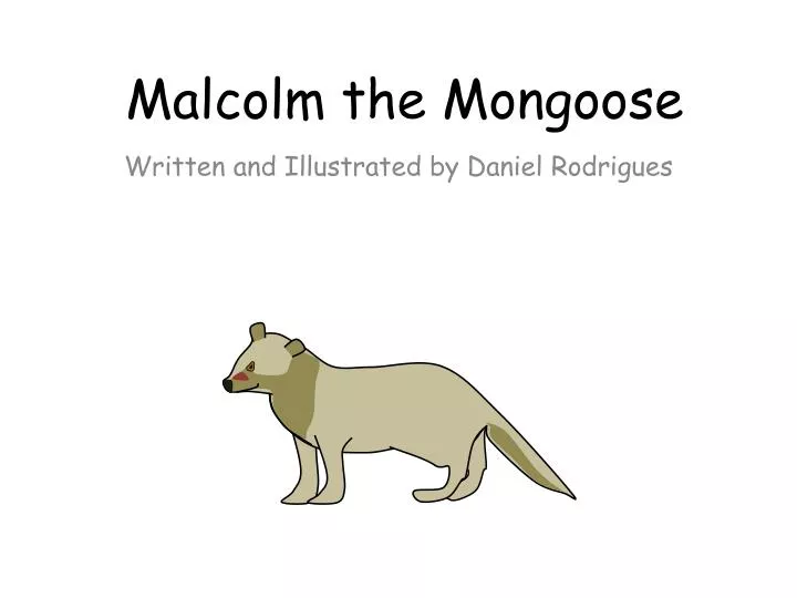 malcolm the mongoose