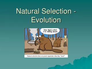 Natural Selection - Evolution