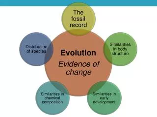 Paleontology Study of prehistoric life