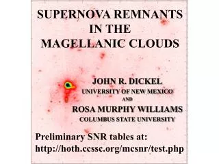 SUPERNOVA REMNANTS IN THE MAGELLANIC CLOUDS