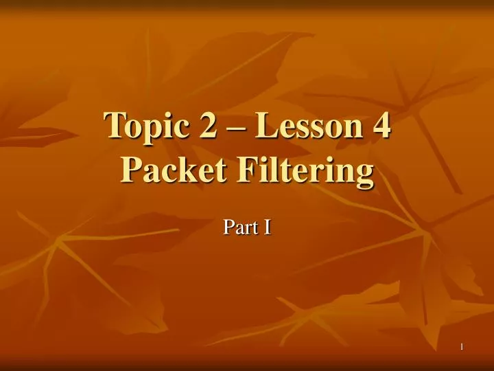 topic 2 lesson 4 packet filtering