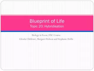 Blueprint of Life Topic 20: Hybridisation