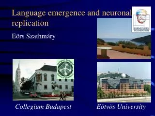 Language emergence and neuronal replication