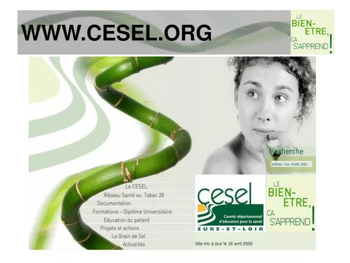 www cesel org