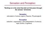Sensation and Perception - slide 1