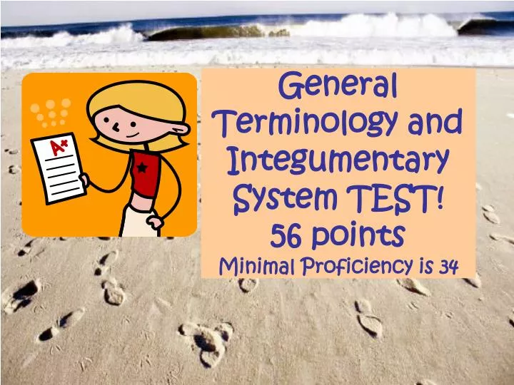 general terminology and integumentary system test 56 points minimal proficiency is 34