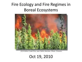 Fire Ecology and Fire Regimes in Boreal Ecosystems