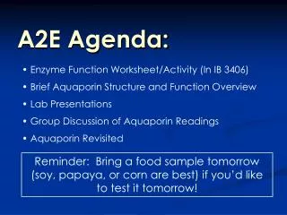 A2E Agenda:
