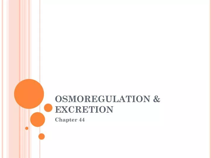 osmoregulation excretion