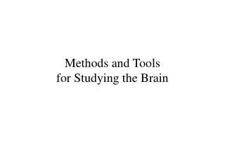 Methods and Tools for Studying the Brain